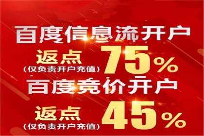 竞价广告赚钱：百度平台成功案例分析